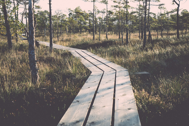wooden footpath on the bog - retro, vintage - Photo, Image