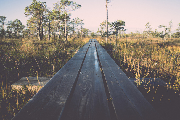 деревянная тропинка на болоте - ретро, винтаж
 - Фото, изображение