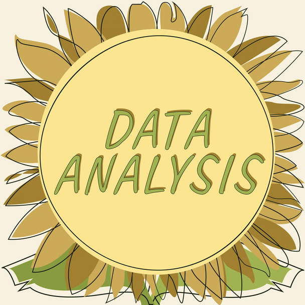 Text caption presenting Data Analysis, Business concept Translate numbers to Analytical Conclusion Forecasting Frame With Leaves And Flowers Around And Important Announcements Inside. - Foto, immagini