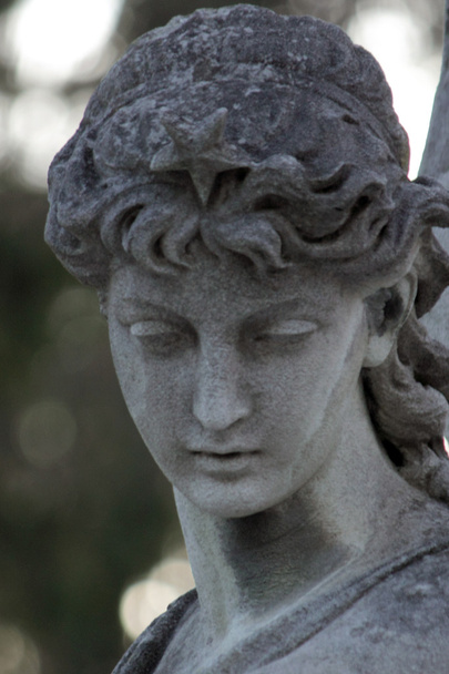 The goddess of love Aphrodite (Venus) - Photo, Image