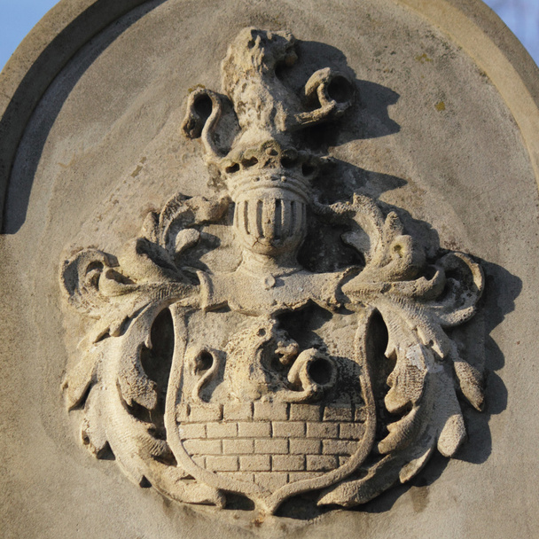 Герб со львами (средневековье, Европа
) - Фото, изображение
