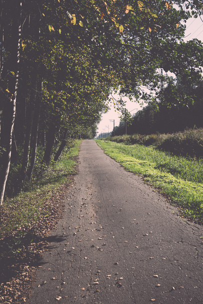 country road with birch trees and old asphalt road - retro, vint - Photo, Image