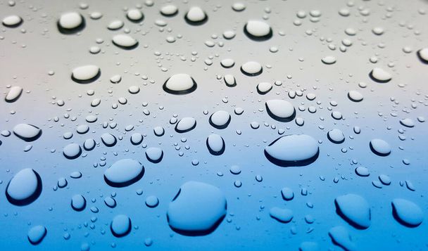 Rain drops beading on a smooth glass surface, low angle view with shallow depth of field. - 写真・画像