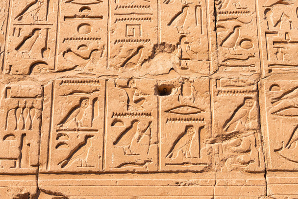 hieroglyphs carved in sandstone wall in Karnak temple in Luxor. Egyptian heritage and history concept - Fotografie, Obrázek