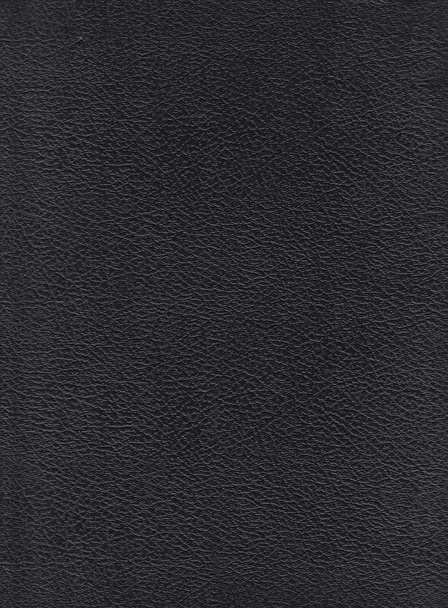 Piel cruda de cuero negro de alta resolución
 - Foto, imagen