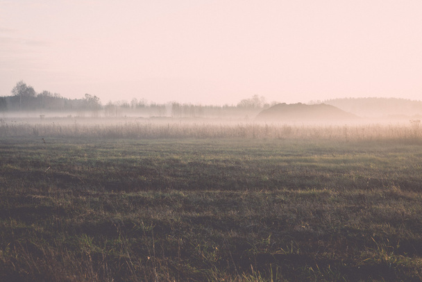 beautiful misty meadow in the morning frost - retro, vintage - Fotó, kép