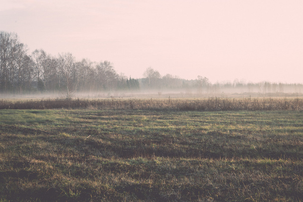 Sabahları güzel misty çayır frost - retro, vintage - Fotoğraf, Görsel