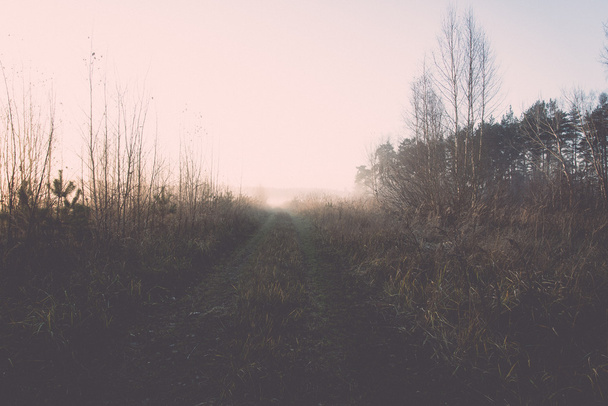 piękne, misty meadow rano mróz - retro, vintage - Zdjęcie, obraz