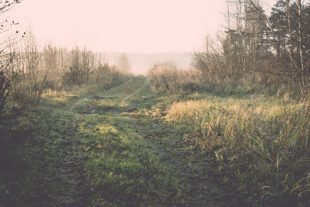 piękne, misty meadow rano mróz - retro, vintage - Zdjęcie, obraz