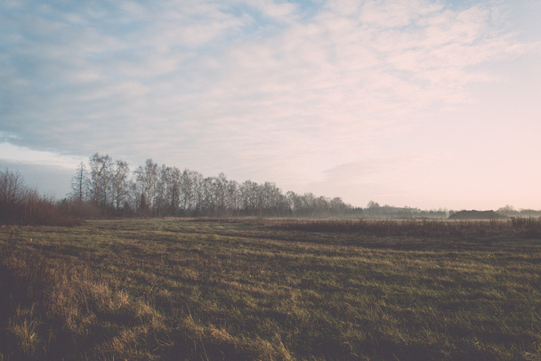 美しい朝の霧の草原フロスト - レトロ、ヴィンテージ - 写真・画像