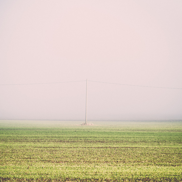 hermoso prado verde en la niebla pesada - retro, vendimia
 - Foto, Imagen