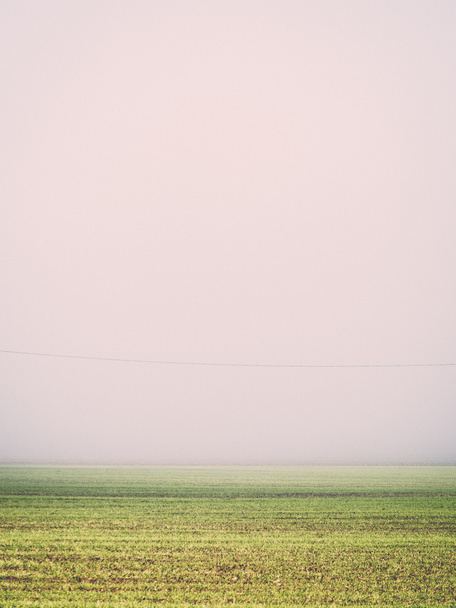 Piękny zielony łąka w ciężkich mgła - retro, vintage - Zdjęcie, obraz