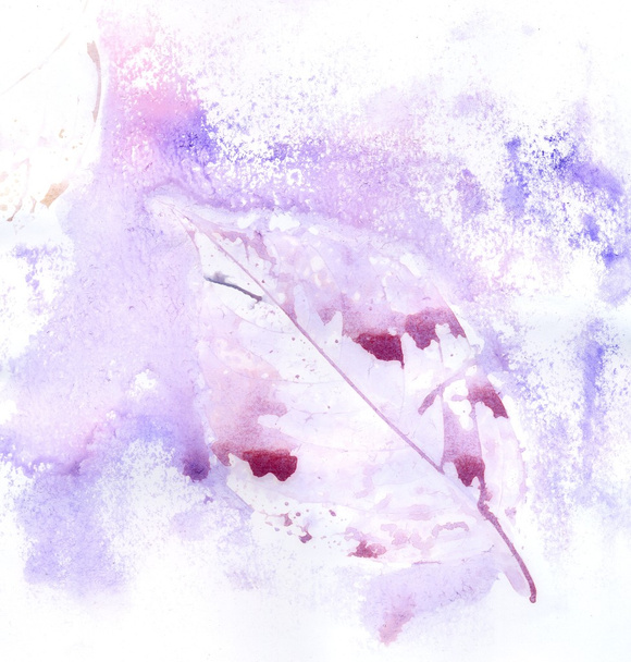 Bladeren in paars - Foto, afbeelding
