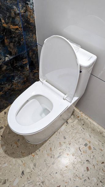 a white toilet with clean seat mounted to the floor in the modern bathroom  - Foto, Imagen