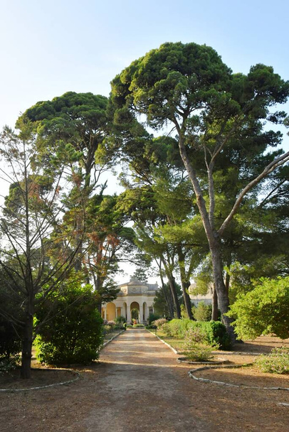 An avenue in the public park of an Italian village in the province of Lecce. - Foto, afbeelding