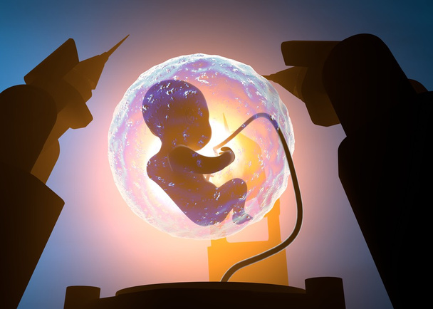 Έμβρυο επώασης - Φωτογραφία, εικόνα