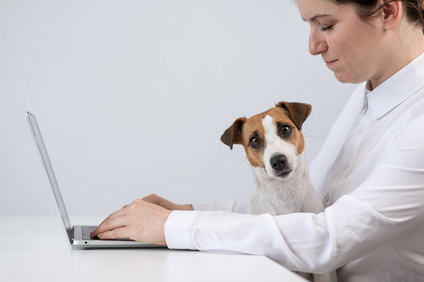Caucasian woman working at laptop with dog jack russell terrier on her knees - Φωτογραφία, εικόνα
