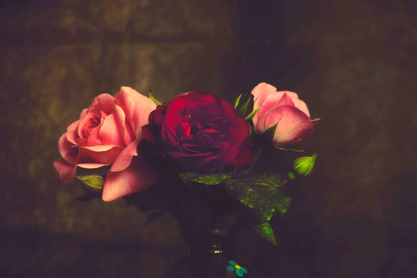 beautiful bouquet of roses on dark background - Photo, Image