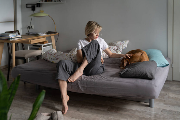 Sad worried middle-aged woman sitting on sofa caring for old sick pet at home, saying goodbye before death, spend final day together, upset female pet owner petting Ill dog curl up in ball in bed - 写真・画像
