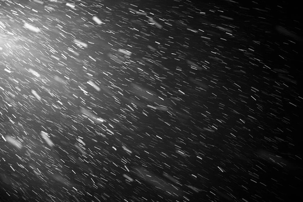 Snowflakes falling down on black background, heavy snow flakes isolated, Flying rain, overlay effect for composition, Motion blur effect - Photo, Image