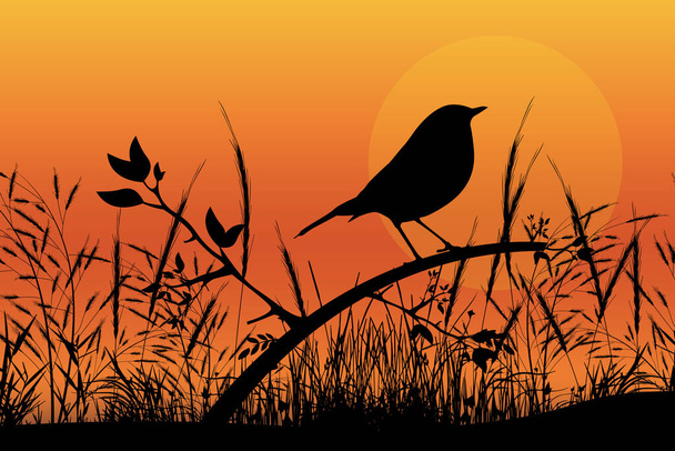 cute bird silhouette landscape graphic - ベクター画像