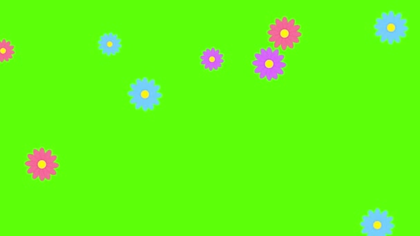 Zufällige Blumen rotieren und fallen auf Green Screen 4K Animation. Blumen Hintergrund Animation - Filmmaterial, Video