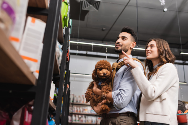 Low angle view of smiling woman pointing with finger near boyfriend holding poodle in pet shop  - Foto, afbeelding