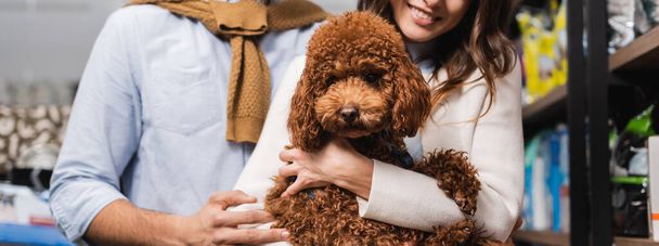 Cropped view of smiling woman holding poodle near boyfriend and showcase in pet shop, banner  - 写真・画像