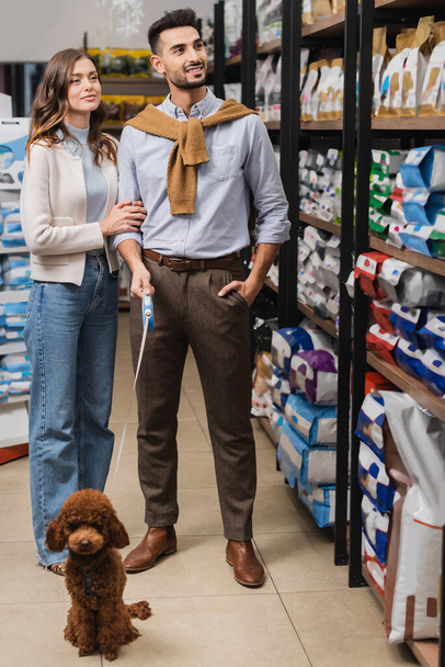 Smiling multiethnic couple looking at packages on showcase near poodle in pet shop  - Foto, afbeelding