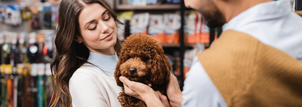 Woman holding poodle near blurred man in pet shop, banner  - Foto, immagini