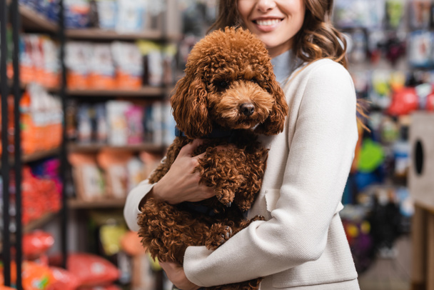 Cropped view of smiling woman holding poodle in pet shop  - Fotó, kép