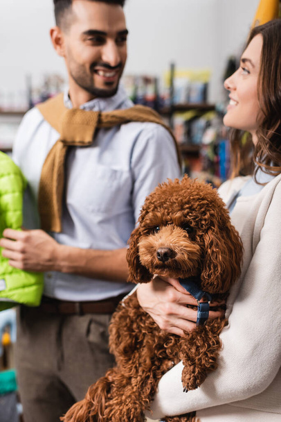 Blurred woman holding brown poodle near smiling muslim boyfriend in pet shop  - Photo, Image