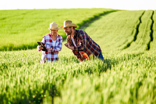 Man and woman are working together. They are cultivating wheat. They are happy because of good season. - Foto, Bild