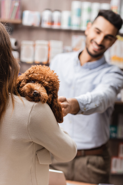 Woman holding poodle near blurred seller in pet shop  - Foto, imagen
