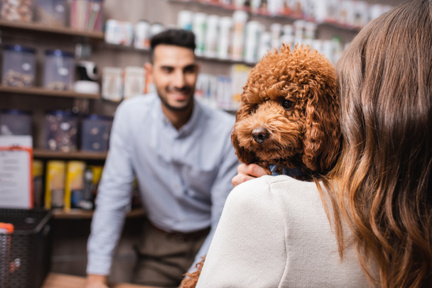 Woman holding brown poodle near blurred salesman in pet shop  - Valokuva, kuva