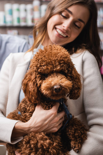 Smiling woman holding brown poodle in pet shop  - Fotó, kép