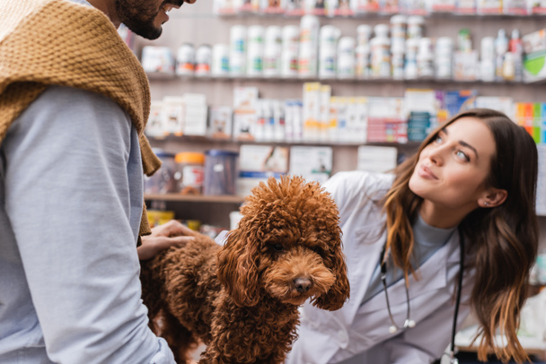 Man holding poodle near blurred veterinarian in pet shop  - Foto, immagini