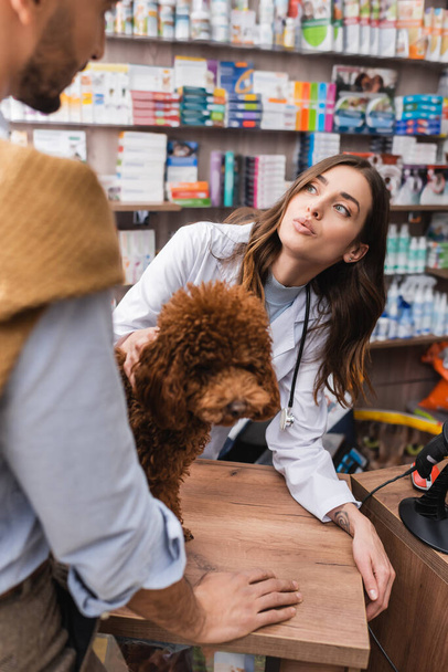 Veterinarian talking to muslim customer near poodle in pet shop - Fotó, kép