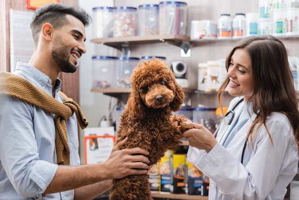 Smiling muslim man holding poodle near veterinarian in pet shop  - Foto, Imagen