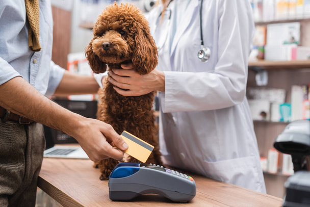 Cropped view of man paying with credit card near poodle and veterinarian in pet shop  - Zdjęcie, obraz
