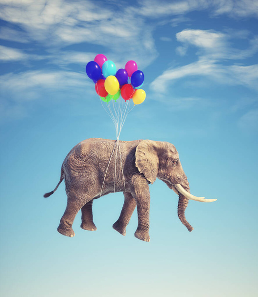 Elephant flying with balloons. Dreaming and aspiration concept. This is 3d render illustration - Foto, Bild