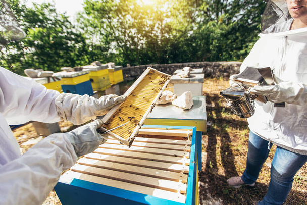 Apicultores trabalhando para coletar mel. Conceito de apicultura biológica
. - Foto, Imagem