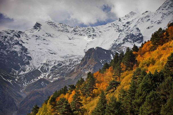 Kuzey Osetya dağlarında mevsim değişikliği - Fotoğraf, Görsel