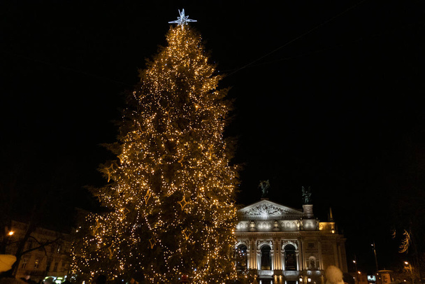 christmas tree in front of opera building Lviv Ukraine - Fotó, kép