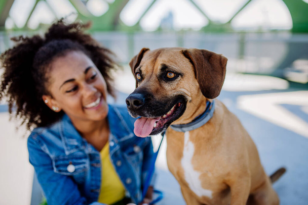 Multiracial girl sitting and resting with her dog outside in the bridge, training him, spending leisure time together. Concept of relationship between a dog and teenager, everyday life with pet. - Foto, Imagem