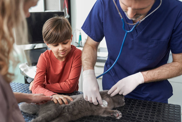 Γυναίκα με γιο έχει μια επίσκεψη στο γραφείο του γιατρού με γάτα    - Φωτογραφία, εικόνα