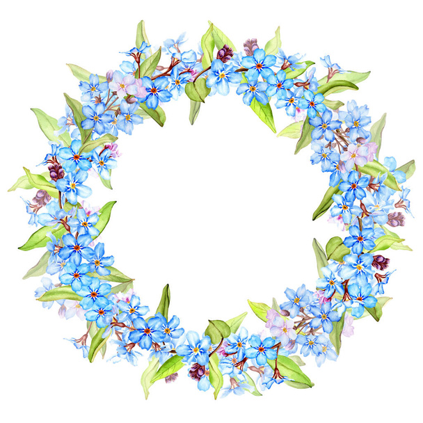 Forget-me-not flowers wreath. Hand drawing watercolor illustration isolated on white background. For greeting card, invitations, postcard. - Zdjęcie, obraz