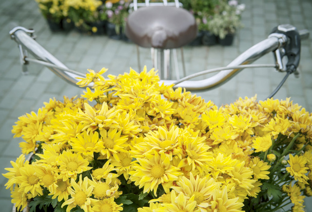 Gyönyörű sárga krizantém virágokkal díszített előtt bic - Fotó, kép