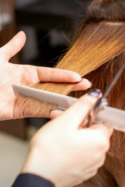 Friseurhände halten Haarsträhne zwischen den Fingern und machen Haarschnitt aus langen Haaren der jungen Frau mit Kamm und Schere im Friseursalon, Nahaufnahme - Foto, Bild