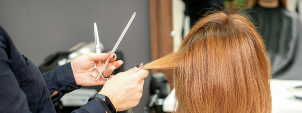 Red-haired woman sitting a front of the mirror and receiving haircut her red long hair by a female hairdresser in a hair salon, back view - Fotó, kép